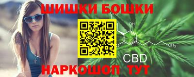 сатива Шахты