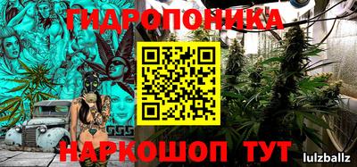 гидропоника Чапаевск