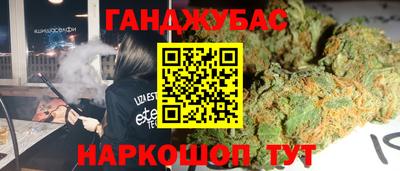 сатива Шахты